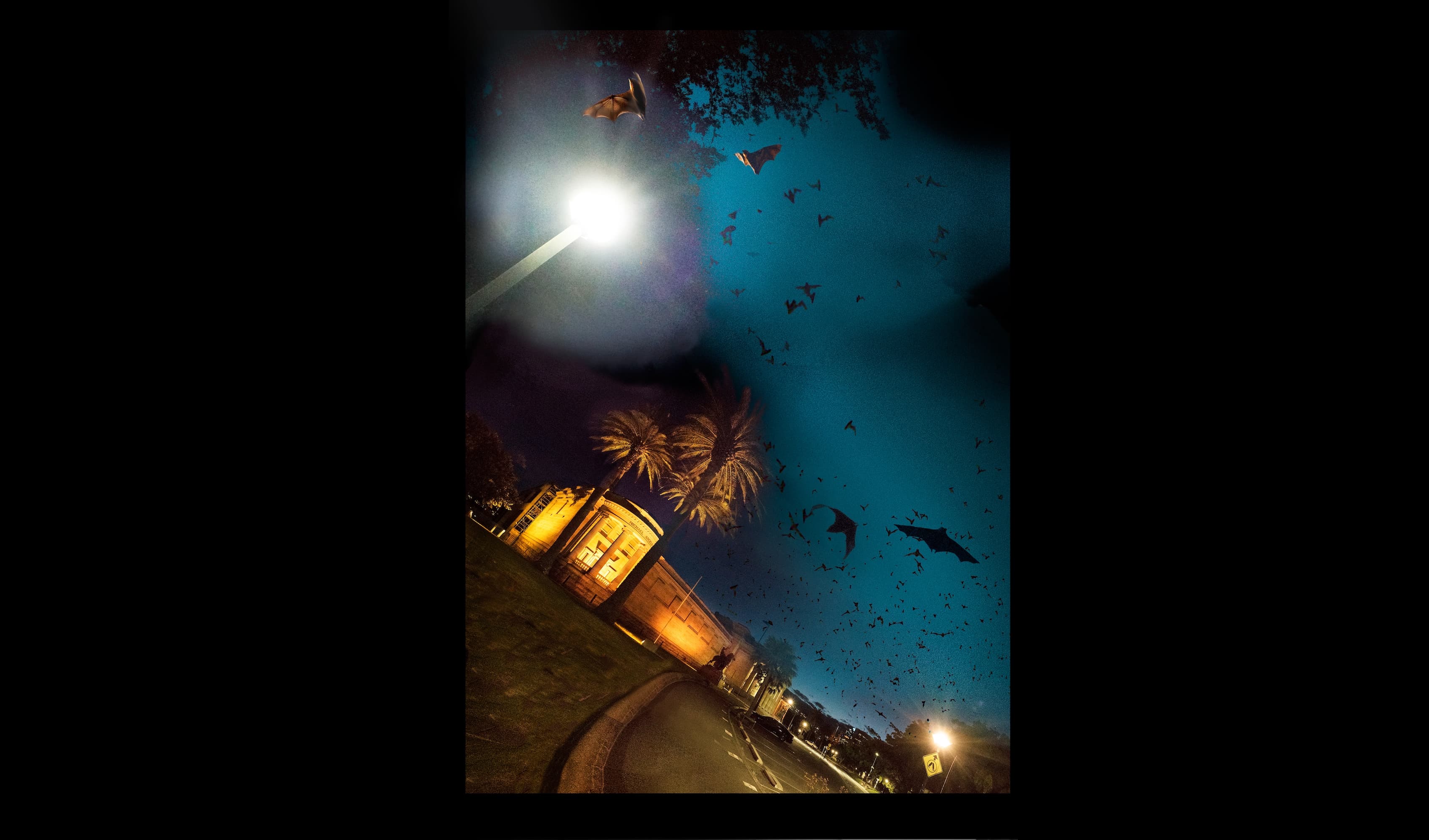 'Sydney' (for Metro Magazine)