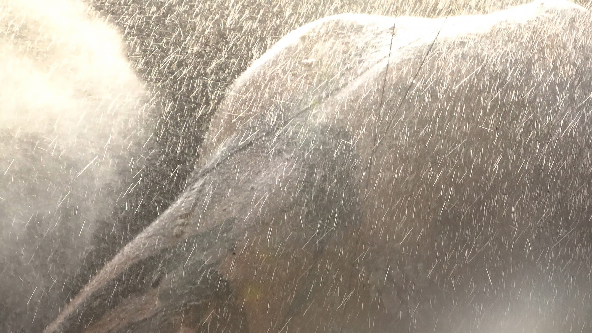 New Words Under the Old