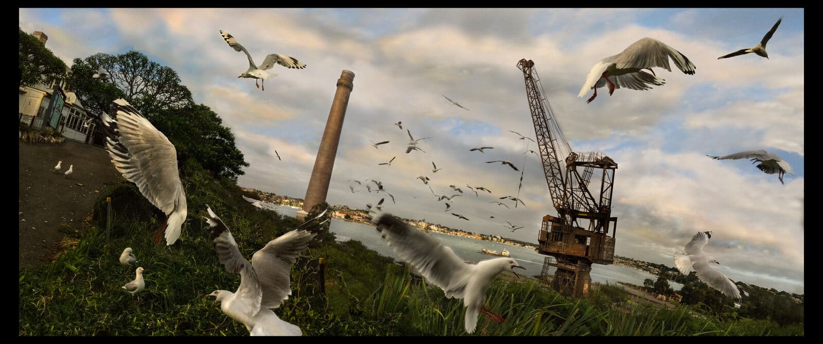 'Sydney' (for Metro Magazine)