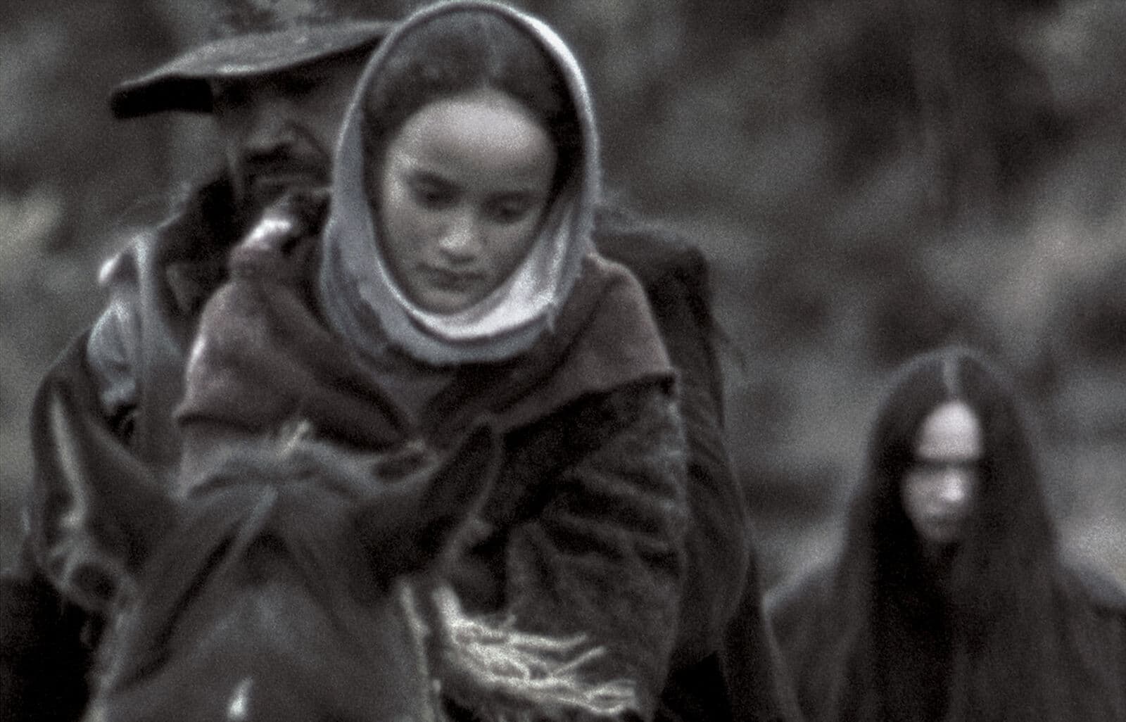 More Tūhoe - Māori Community 