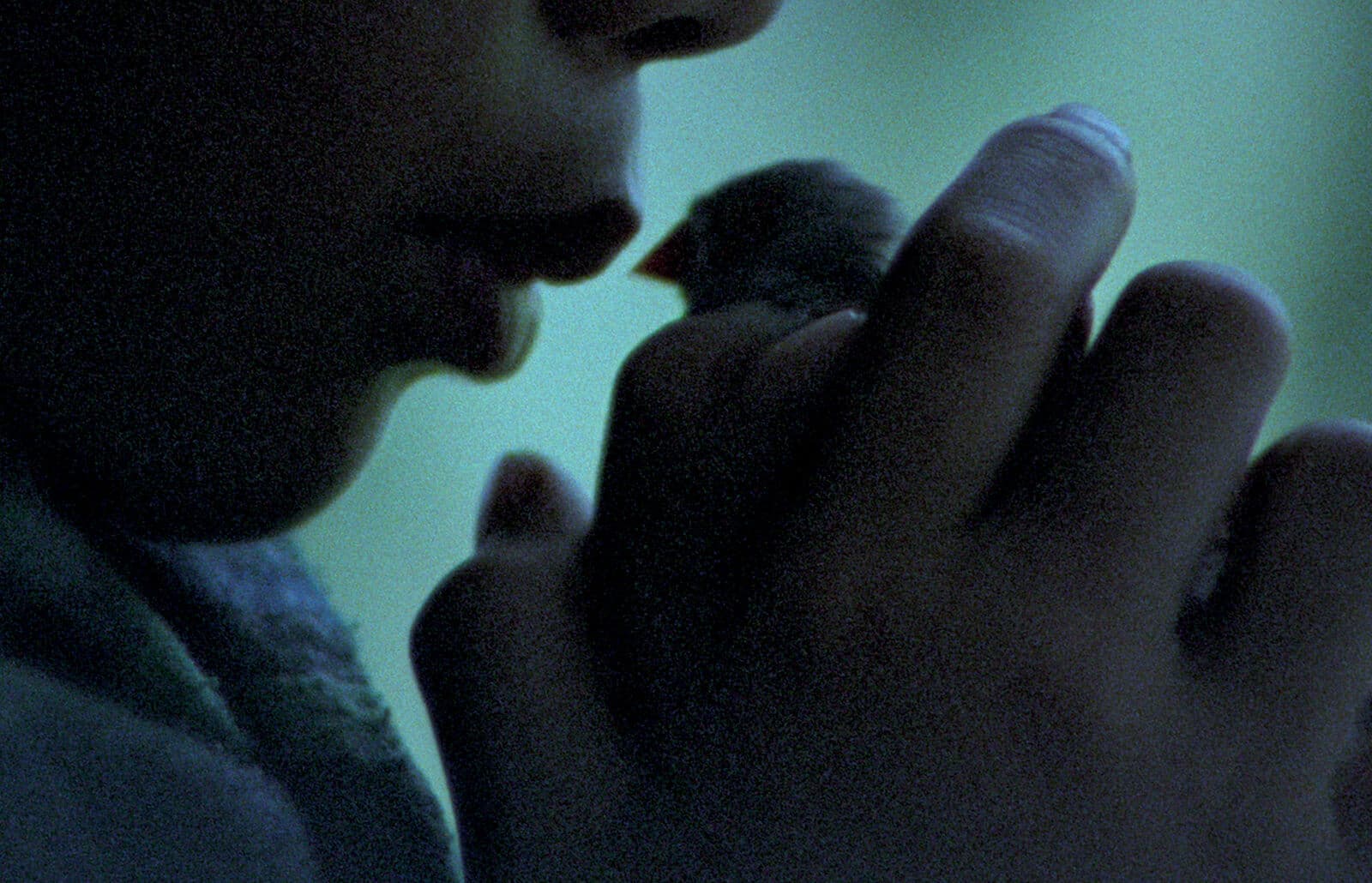 More Tūhoe - Māori Community 