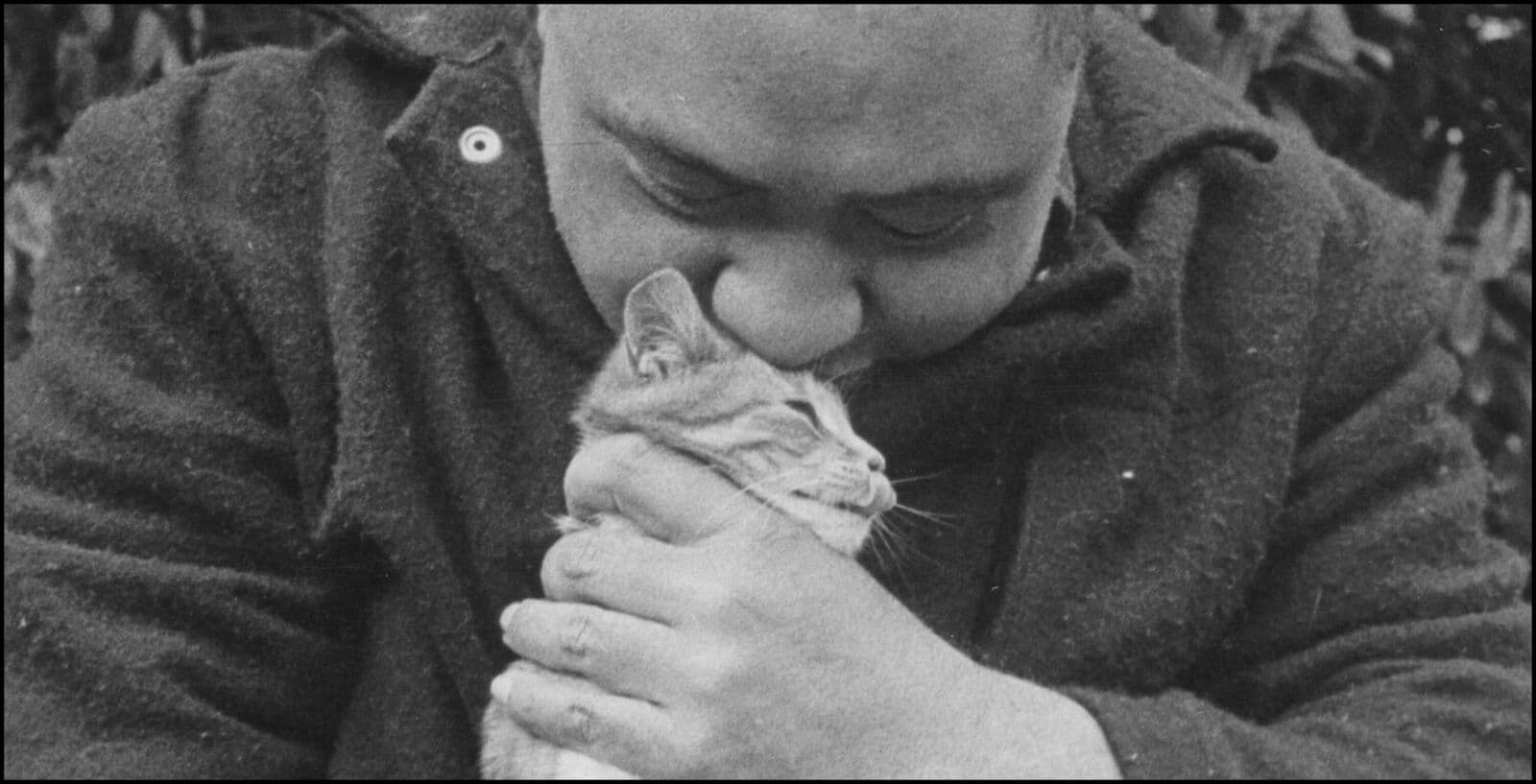 More Tūhoe - Māori Community 