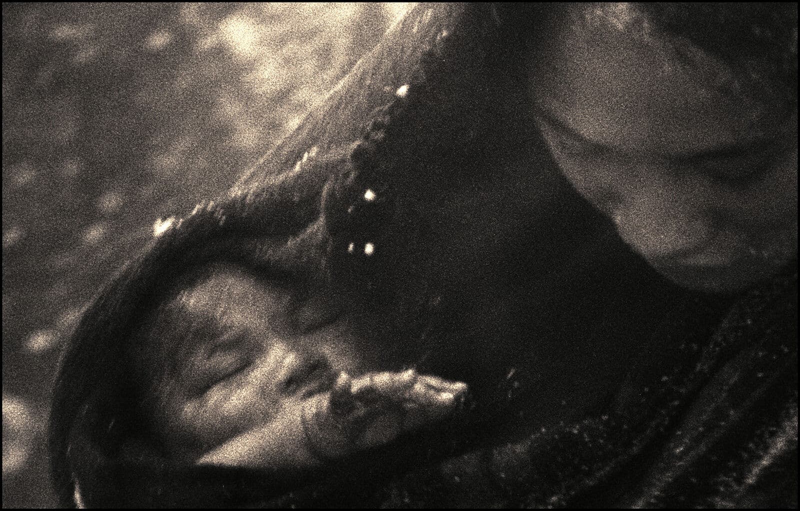 More Tūhoe - Māori Community 