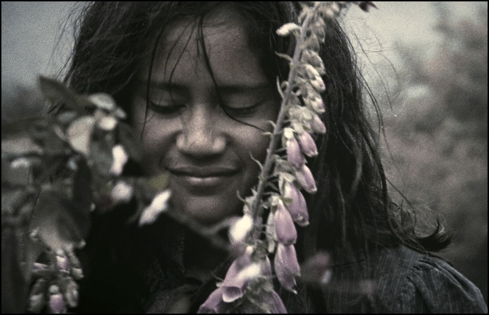 More Tūhoe - Māori Community 
