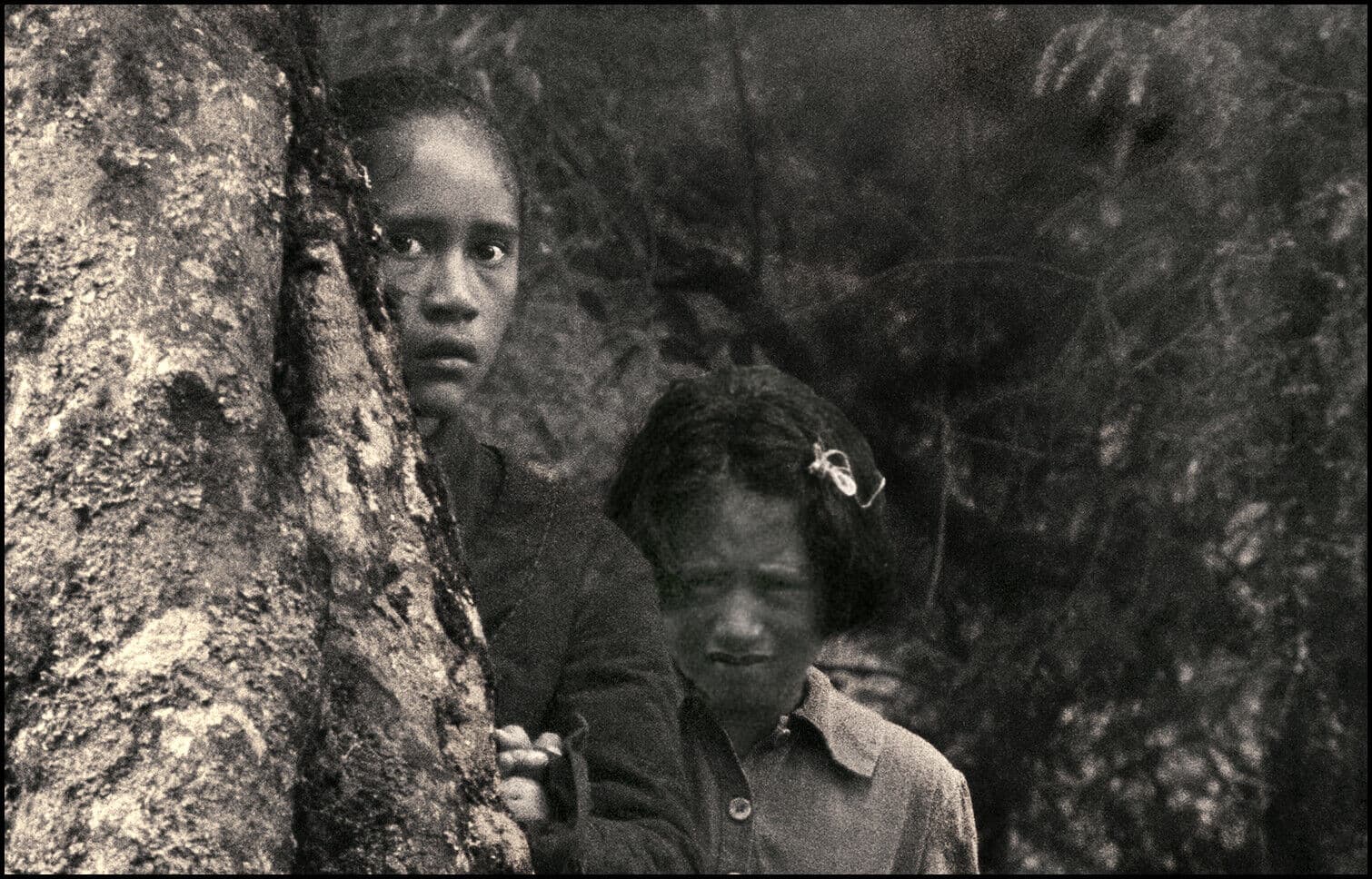 More Tūhoe - Māori Community 