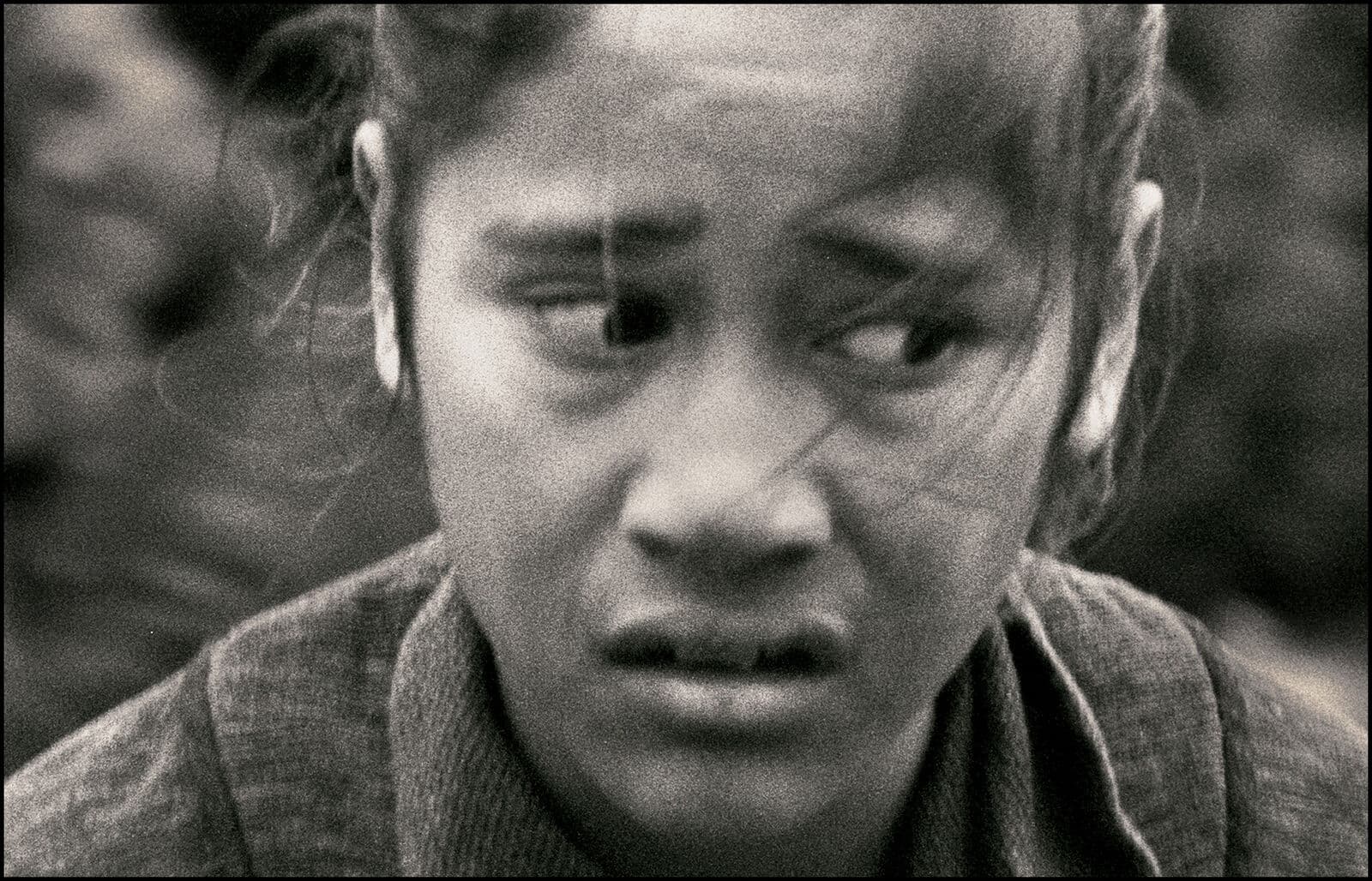 More Tūhoe - Māori Community 