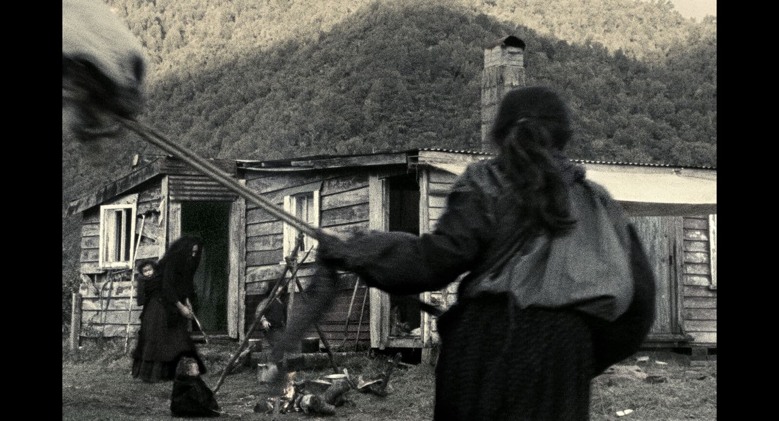 More Tūhoe - Māori Community 