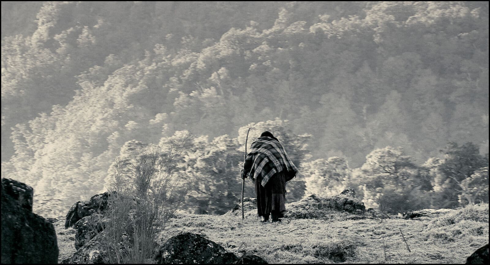 Tūhoe - Māori Community 
